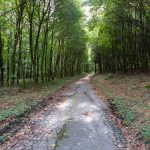 Ferienwohnung Küper - Waldweg